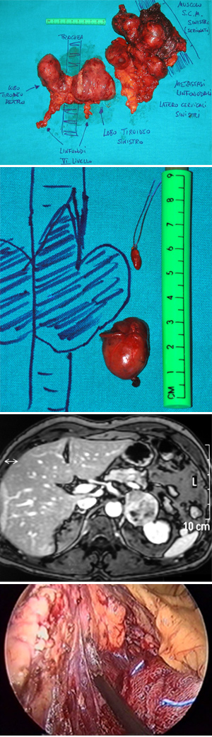 patologie e interventi