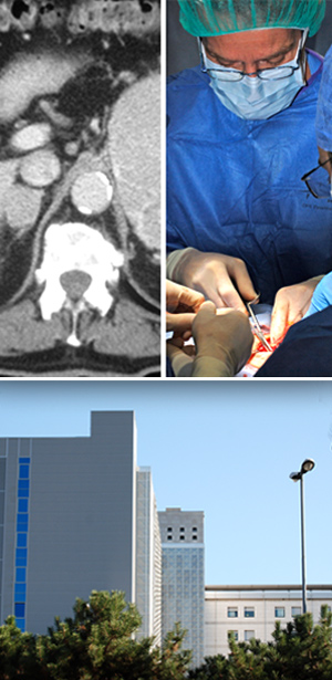 patologie e interventi