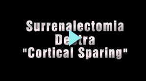 surrenectomia cortical sparing
